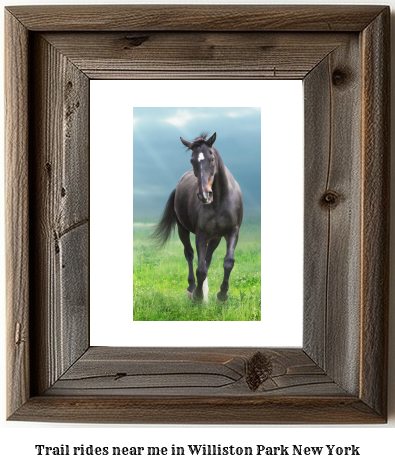 trail rides near me in Williston Park, New York